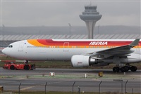 Miguel Alia - Noisy Spotters. Click to see full size photo