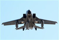 Alejandro H.L - Gran Canaria Spotters. Click to see full size photo