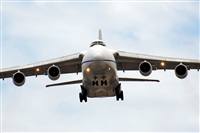 ©J. Victor Vega-Gran Canaria Spotters. Click to see full size photo ©J. Victor Vega-Gran Canaria Spotters. Click to see full size photo