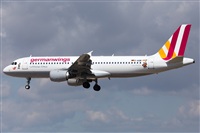 Miguel Alia - Noisy Spotters. Click to see full size photo