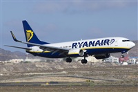 Saimon J Rodriguez   -   Canary Islands Spotting. Click to see full size photo