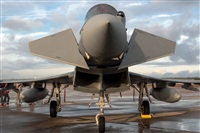Bartolom Fernndez - Gran Canaria Spotters. Click to see full size photo