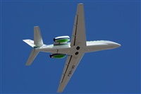 Miguel A. gueda Rguez.  (CANARY ISLANDS SPOTTING). Click to see full size photo