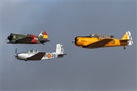 Bartolom Fernndez - Gran Canaria Spotters. Click to see full size photo