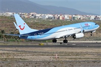 Alfonso Sols - Asociacin Canary Islands Spotting. Click to see full size photo