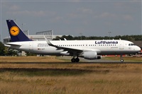 Rubn Gil - Noisy Spotters. Click to see full size photo