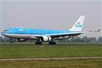 Rubn Gil - Noisy Spotters. Click to see full size photo