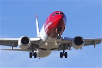 Saimon J Rodriguez   -   Canary Islands Spotting. Click to see full size photo