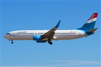 Saimon J Rodriguez   -   Canary Islands Spotting. Click to see full size photo