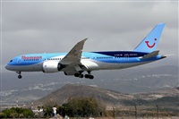 Miguel A. gueda Rguez.  (CANARY ISLANDS SPOTTING). Click to see full size photo