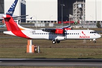 Rubn Gil - Noisy Spotters. Click to see full size photo