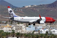 Bartolom Fernndez - Gran Canaria Spotters. Click to see full size photo