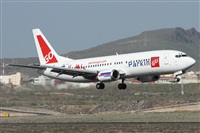 ©Alfonso Solís - Asociación Canary Islands Spotting. Click to see full size photo ©Alfonso Solís - Asociación Canary Islands Spotting. Click to see full size photo