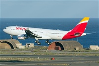 ©Adolfo Bento - Gran Canaria Spotters. Click to see full size photo ©Adolfo Bento - Gran Canaria Spotters. Click to see full size photo