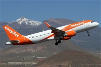 ©Alfonso Solís - Asociación Canary Islands Spotting. Click to see full size photo ©Alfonso Solís - Asociación Canary Islands Spotting. Click to see full size photo