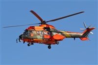 Fco Javier Garca Ruiz. Click to see full size photo