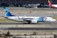©Alfonso Solís - Asociación Canary Islands Spotting. Click to see full size photo ©Alfonso Solís - Asociación Canary Islands Spotting. Click to see full size photo