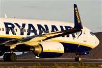 Saimon J Rodriguez   -   Canary Islands Spotting. Click to see full size photo
