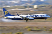 Miguel A. gueda Rguez.  (CANARY ISLANDS SPOTTING). Click to see full size photo