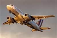 Javier de la Cruz - CANARY ISLANDS SPOTTING. Click to see full size photo