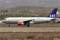 Alfonso Sols - Asociacin Canary Islands Spotting. Click to see full size photo