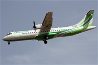 ©Alfonso Solís - Asociación Canary Islands Spotting. Click to see full size photo ©Alfonso Solís - Asociación Canary Islands Spotting. Click to see full size photo