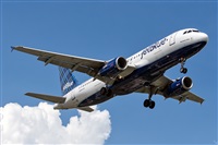 Bartolom Fernndez - Gran Canaria Spotters. Click to see full size photo
