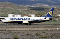 ©Alfonso Solís - Asociación Canary Islands Spotting. Click to see full size photo ©Alfonso Solís - Asociación Canary Islands Spotting. Click to see full size photo