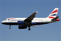 Alfonso Sols - Asociacin Canary Islands Spotting. Haz click para ampliar