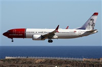 Alfonso Sols - Asociacin Canary Islands Spotting. Haz click para ampliar
