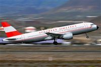 Miguel A. gueda Rguez.  (CANARY ISLANDS SPOTTING). Haz click para ampliar