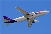 Miguel A. gueda Rguez.  (CANARY ISLANDS SPOTTING). Click to see full size photo