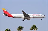 Miguel A. gueda Rguez.  (CANARY ISLANDS SPOTTING). Click to see full size photo