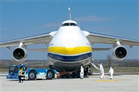 Tams. Click to see full size photo
