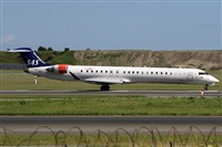©Alfonso Solís - Asociación Canary Islands Spotting. Click to see full size photo ©Alfonso Solís - Asociación Canary Islands Spotting. Click to see full size photo
