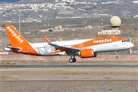 Miguel A. gueda Rguez.  (CANARY ISLANDS SPOTTING). Click to see full size photo