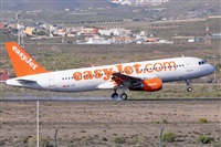 Miguel A. gueda Rguez.  (CANARY ISLANDS SPOTTING). Click to see full size photo