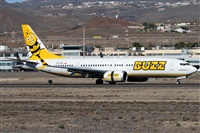 ©Alfonso Solís - Asociación Canary Islands Spotting. Click to see full size photo ©Alfonso Solís - Asociación Canary Islands Spotting. Click to see full size photo