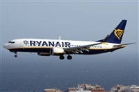 Alfonso Sols - Asociacin Canary Islands Spotting. Haz click para ampliar