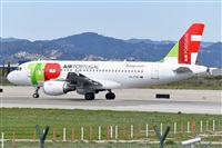 Miguel A. gueda Rguez.  (CANARY ISLANDS SPOTTING). Click to see full size photo