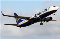 Alfonso Sols - Asociacin Canary Islands Spotting. Click to see full size photo