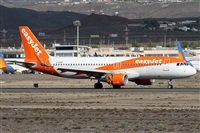 Alfonso Sols - Asociacin Canary Islands Spotting. Haz click para ampliar