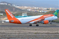 Miguel A. gueda Rguez.  (CANARY ISLANDS SPOTTING). Click to see full size photo