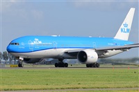 Miguel A. gueda Rguez.  (CANARY ISLANDS SPOTTING). Click to see full size photo