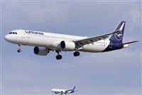 Miguel A. gueda Rguez.  (CANARY ISLANDS SPOTTING). Click to see full size photo