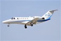 Miguel A. gueda Rguez.  (CANARY ISLANDS SPOTTING). Click to see full size photo