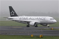 Adrin Alonso Lemes - Lanzarote Spotters. Click to see full size photo