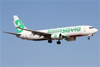 ©Alfonso Solís - Asociación Canary Islands Spotting. Click to see full size photo ©Alfonso Solís - Asociación Canary Islands Spotting. Click to see full size photo