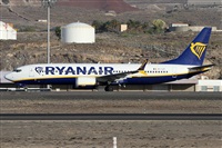 ©Alfonso Solís - Asociación Canary Islands Spotting. Click to see full size photo ©Alfonso Solís - Asociación Canary Islands Spotting. Click to see full size photo
