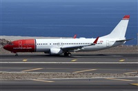 ©Alfonso Solís - Asociación Canary Islands Spotting. Click to see full size photo ©Alfonso Solís - Asociación Canary Islands Spotting. Click to see full size photo